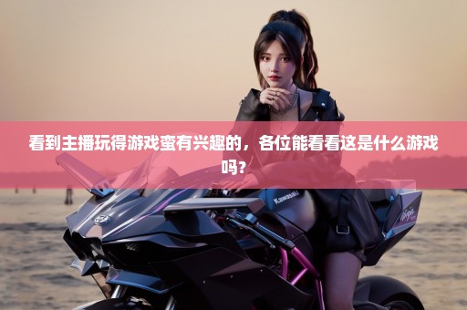 看到主播玩得游戏蛮有兴趣的，各位能看看这是什么游戏吗？