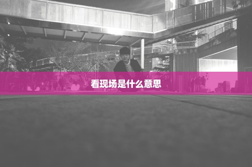 看现场是什么意思