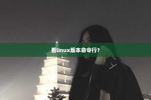 看linux版本命令行？