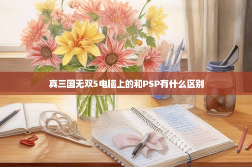 真三国无双5电脑上的和PSP有什么区别