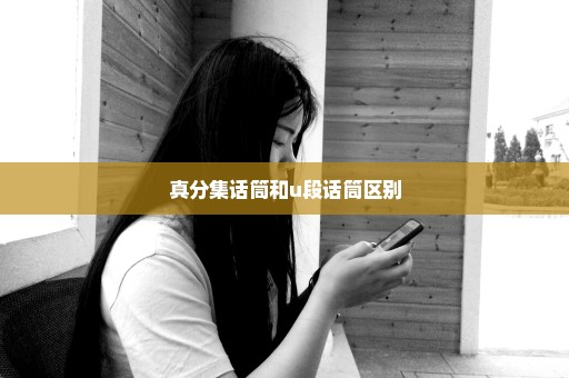 真分集话筒和u段话筒区别