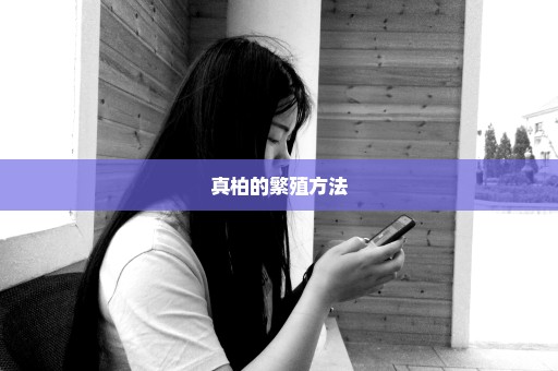 真柏的繁殖方法