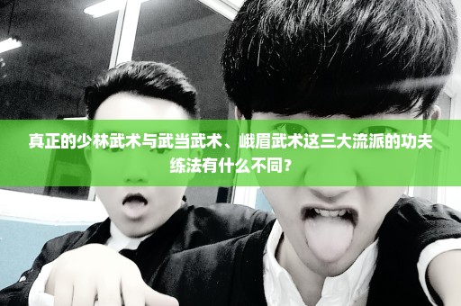 真正的少林武术与武当武术、峨眉武术这三大流派的功夫练法有什么不同？