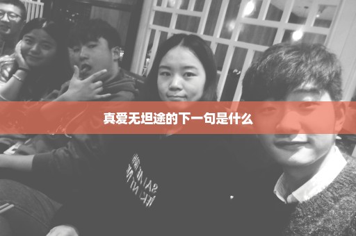 真爱无坦途的下一句是什么