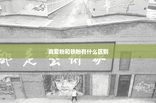 真爱粉和铁粉有什么区别