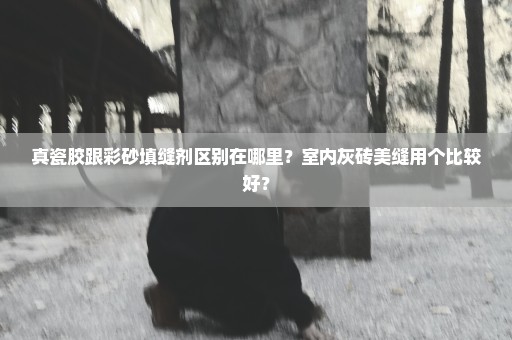 真瓷胶跟彩砂填缝剂区别在哪里？室内灰砖美缝用个比较好？