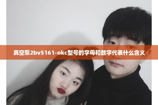 真空泵2bv5161-okc型号的字母和数字代表什么含义