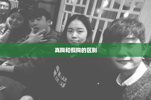真胸和假胸的区别