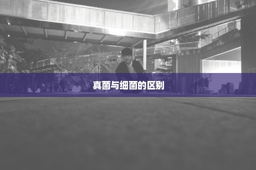 真菌与细菌的区别