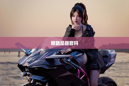 眼睛是器官吗