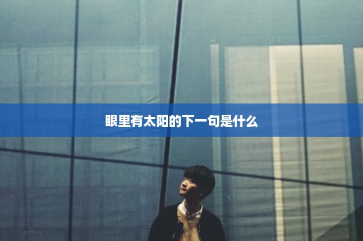 眼里有太阳的下一句是什么