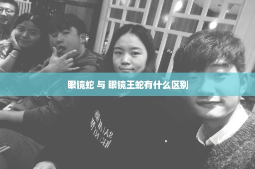 眼镜蛇 与 眼镜王蛇有什么区别