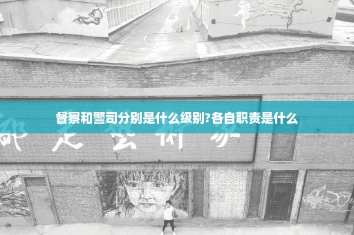 督察和警司分别是什么级别?各自职责是什么