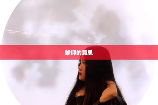 瞻仰的意思