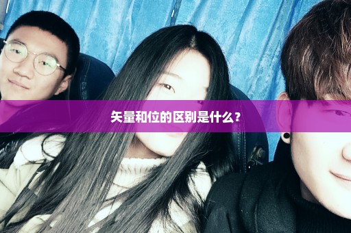 矢量和位的区别是什么？