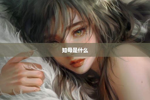 知母是什么