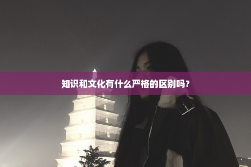 知识和文化有什么严格的区别吗？