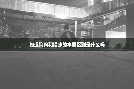 知道狗狗和猫咪的本质区别是什么吗