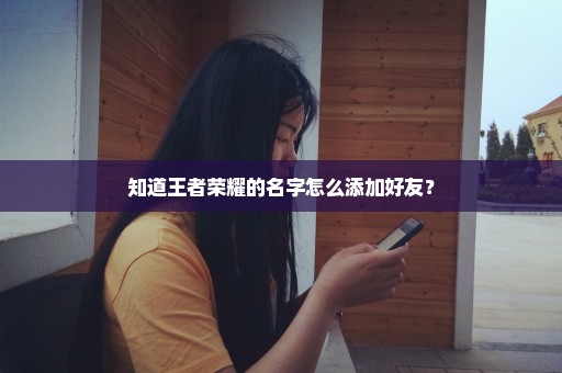 知道王者荣耀的名字怎么添加好友？