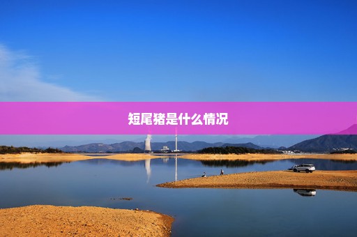 短尾猪是什么情况