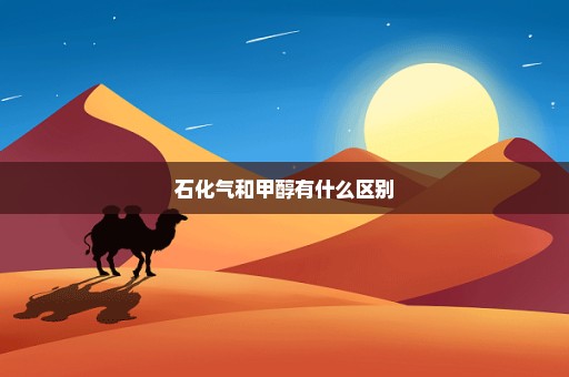 石化气和甲醇有什么区别