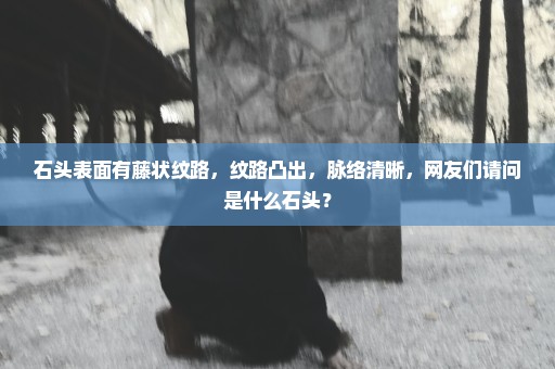 石头表面有藤状纹路，纹路凸出，脉络清晰，网友们请问是什么石头？