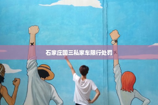 石家庄国三私家车限行处罚