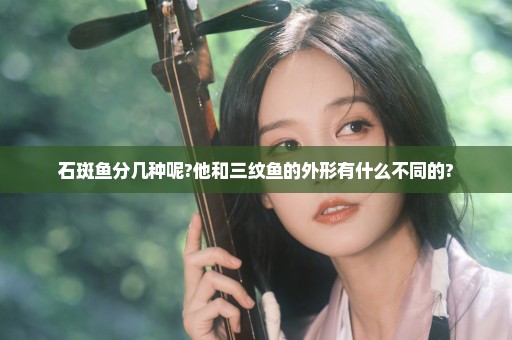 石斑鱼分几种呢?他和三纹鱼的外形有什么不同的?