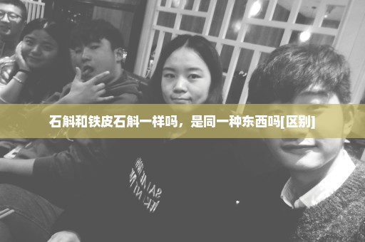 石斛和铁皮石斛一样吗，是同一种东西吗[区别]