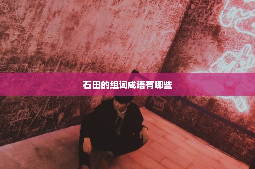 石田的组词成语有哪些