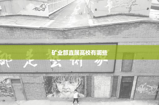 矿业部直属高校有哪些