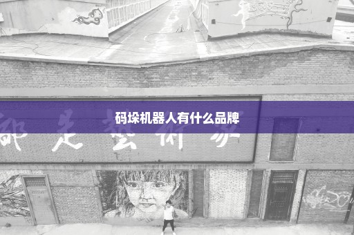 码垛机器人有什么品牌
