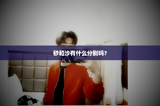 砂和沙有什么分别吗？