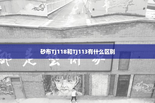 砂布TJ118和TJ113有什么区别