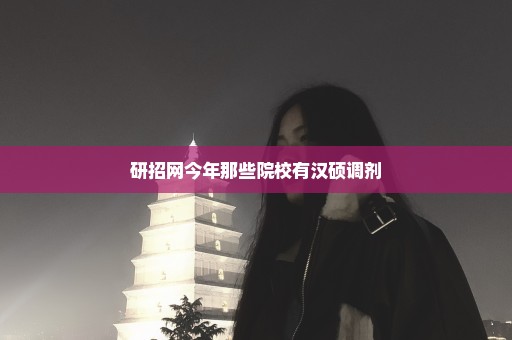 研招网今年那些院校有汉硕调剂