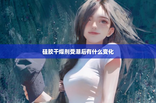 硅胶干燥剂受潮后有什么变化