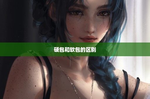硬包和软包的区别