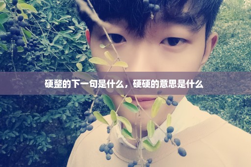 硬整的下一句是什么，硬硬的意思是什么 