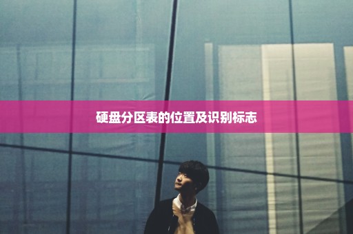 硬盘分区表的位置及识别标志