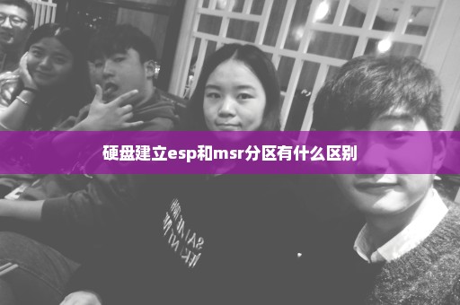 硬盘建立esp和msr分区有什么区别