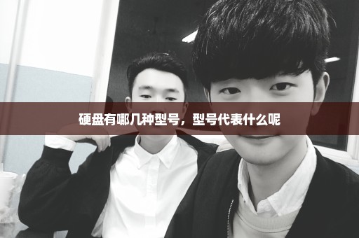 硬盘有哪几种型号，型号代表什么呢