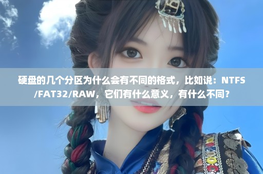 硬盘的几个分区为什么会有不同的格式，比如说：NTFS/FAT32/RAW，它们有什么意义，有什么不同？