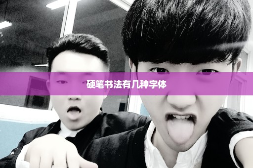 硬笔书法有几种字体