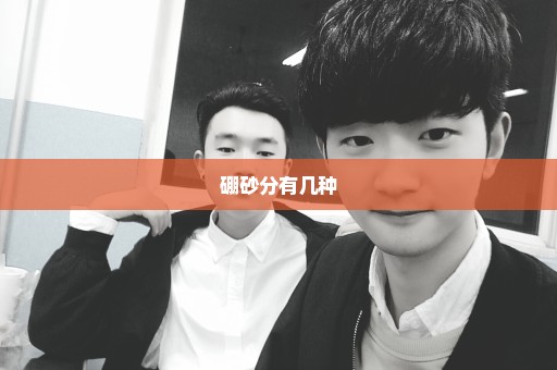 硼砂分有几种