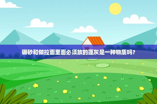 硼砂和做拉面里面必须放的蓬灰是一种物质吗？
