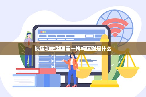 碗莲和微型睡莲一样吗区别是什么