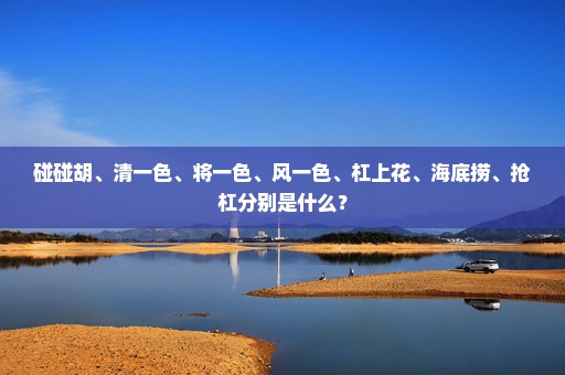 碰碰胡、清一色、将一色、风一色、杠上花、海底捞、抢杠分别是什么？