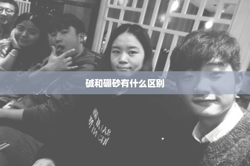 碱和硼砂有什么区别