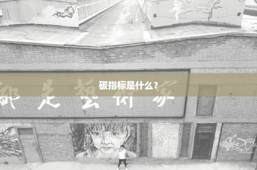 碳指标是什么？