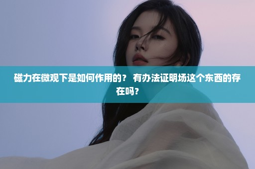 磁力在微观下是如何作用的？ 有办法证明场这个东西的存在吗？